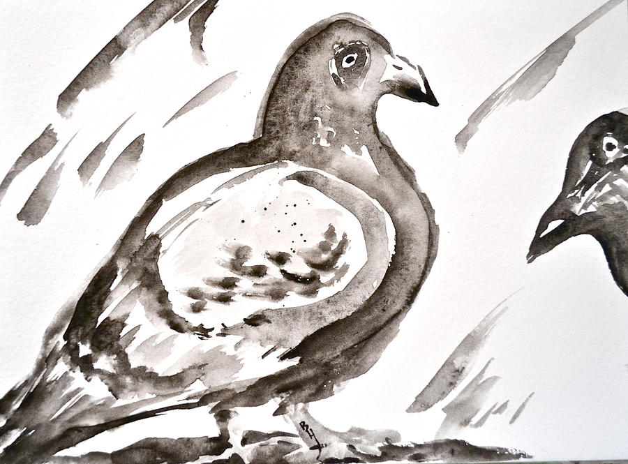 Pigeon II Sumi-e Style Painting by Beverley Harper Tinsley