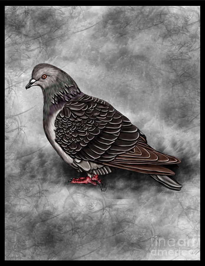 Pigeon Painting - Pigeon by Karen Sheltrown
