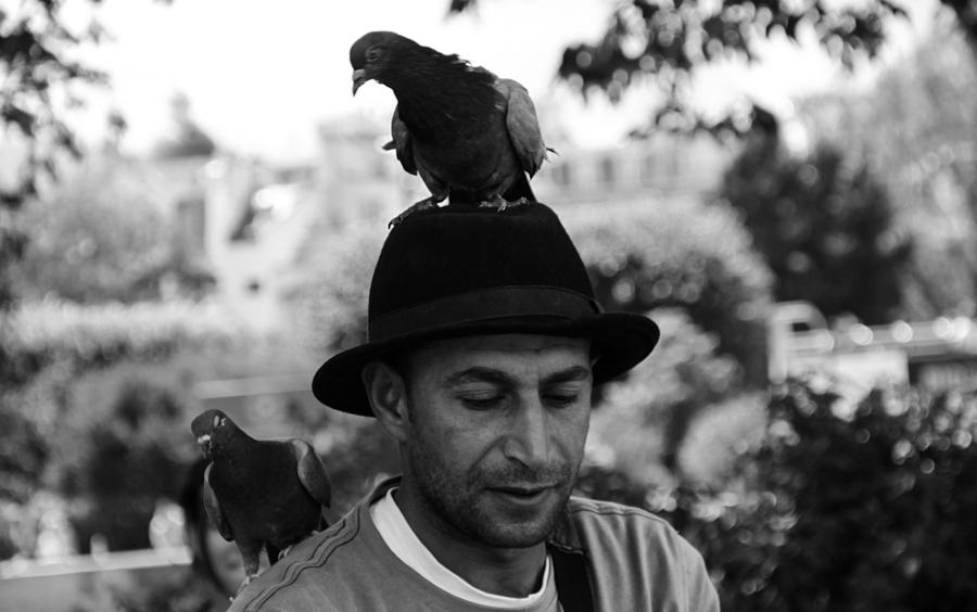 Pigeon Photograph - Pigeon man by Dylan Stinson