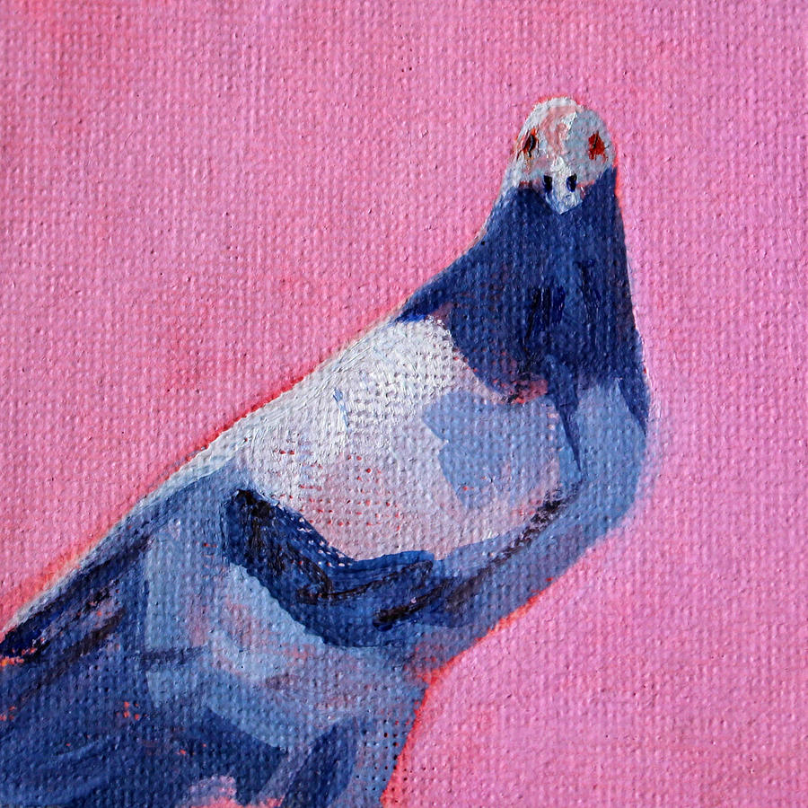 Pigeon on Pink Painting by Nancy Merkle