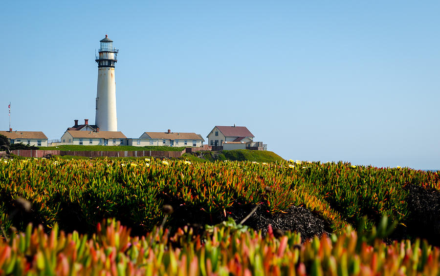 Pigeon Point Photograph by David Hart