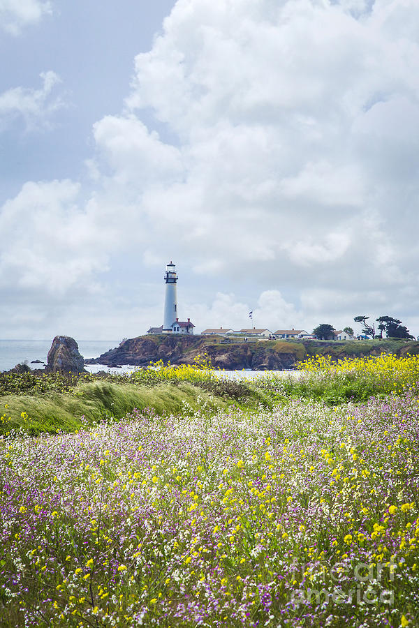 Pigeon Point in Spring Photograph by Theresa Ramos-DuVon