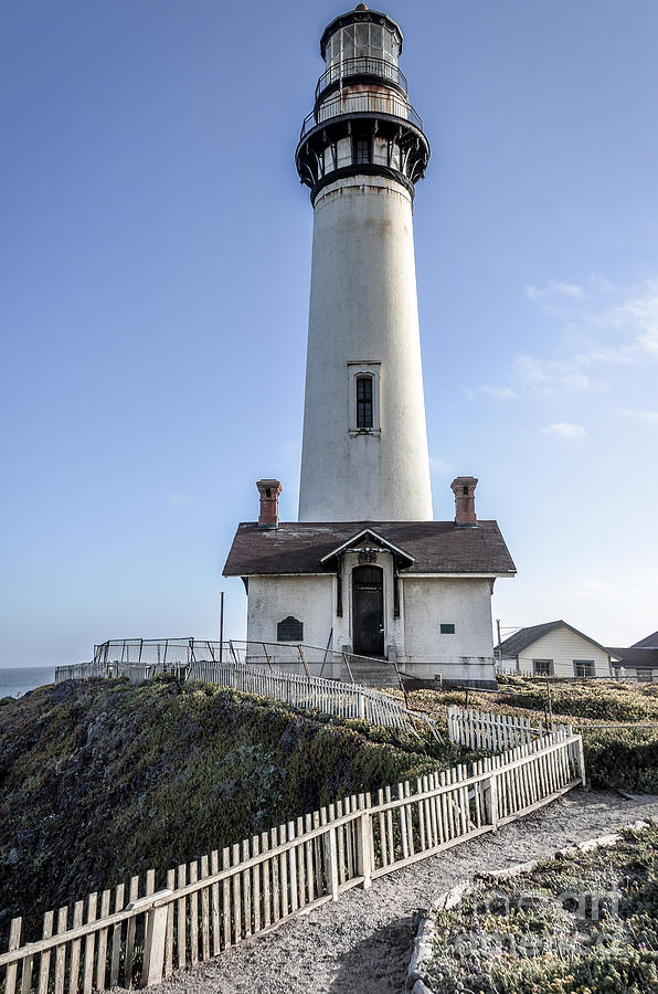 Pigeon Point Lighthouse Photograph by Amy Fearn