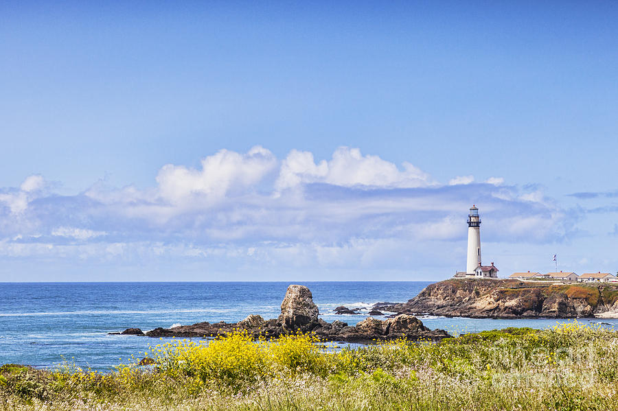 Pigeon Point Lighthouse California Photograph