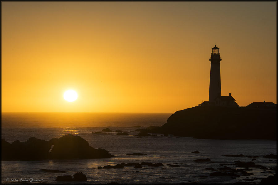 Pigeon Point Lighthouse Photograph by Erika Fawcett