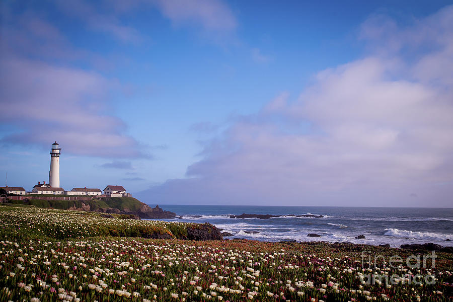 Pigeon Point Lighthouse in Spring 3 Photograph by Theresa Ramos-DuVon