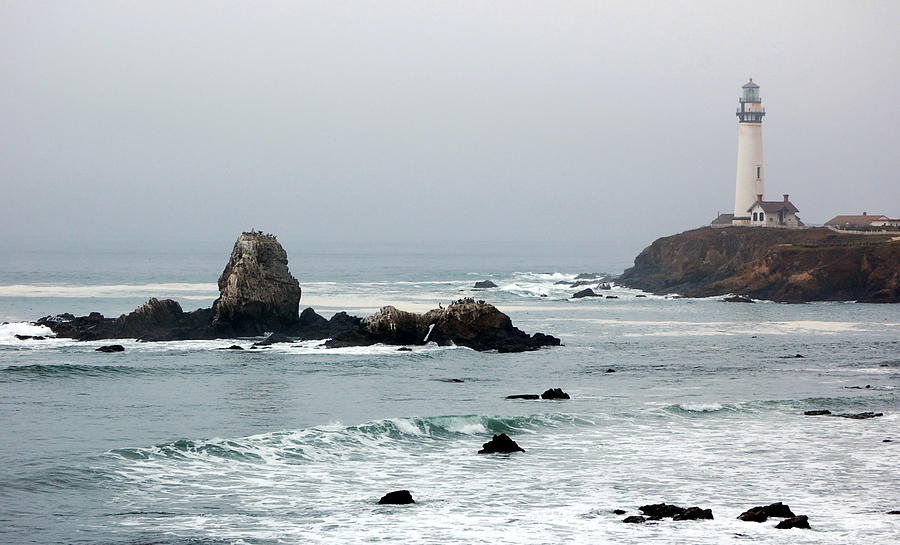 Pigeon Point Lighthouse in the Fog Photograph by AJ  Schibig