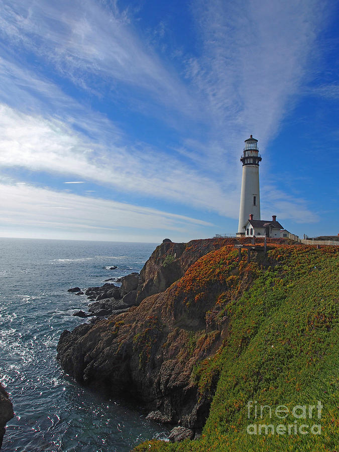 Pigeon Point Lighthouse Photograph by Jacklyn Duryea Fraizer