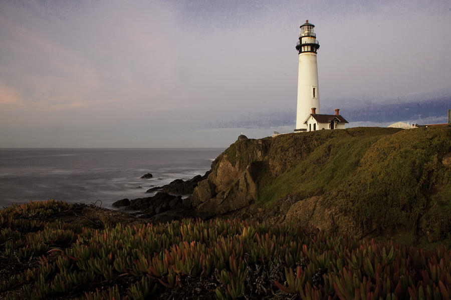 Pigeon Point Lighthouse Photograph by Jim Snyder