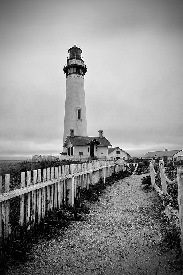Pigeon Point Lighthouse Photograph by Lisa Chorny