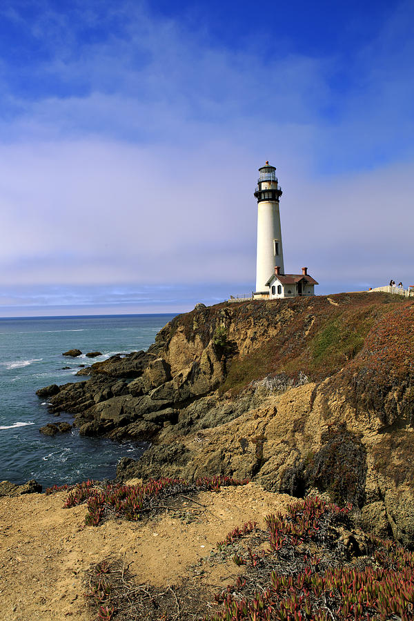 Lighthouse Photograph - Pigeon Point Lighthouse by Her Arts Desire
