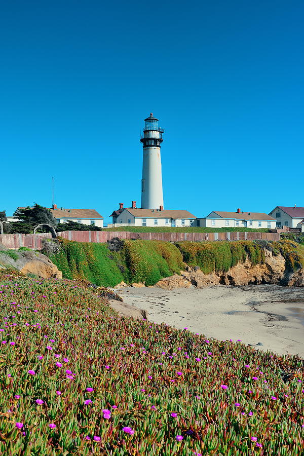 Pigeon Point lighthouse  Photograph by Songquan Deng