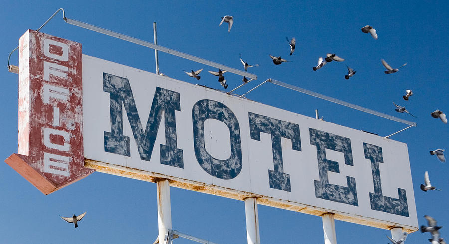 Bird Photograph - Pigeon Roost Motel Sign by Scott Campbell