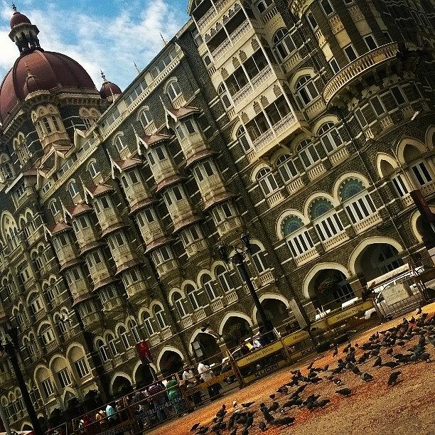 Pigeon Photograph - Pigeons At The Taj #india #taj #mumbai by Shruthi Vishwanath