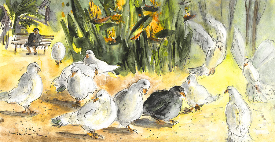 Animal Painting - Pigeons in Benidorm by Miki De Goodaboom