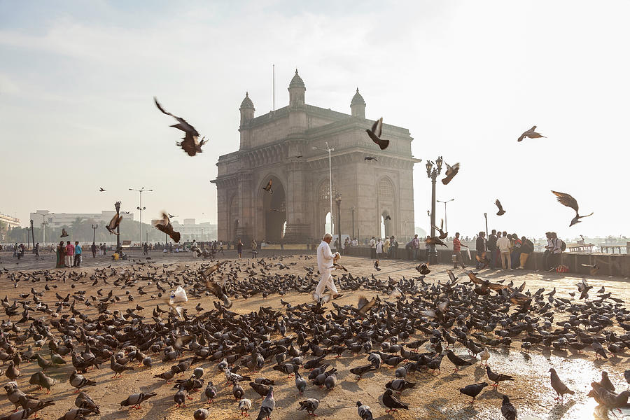 Pigeons, India Gate, Colaba, Mumbai Photograph by Peter Adams