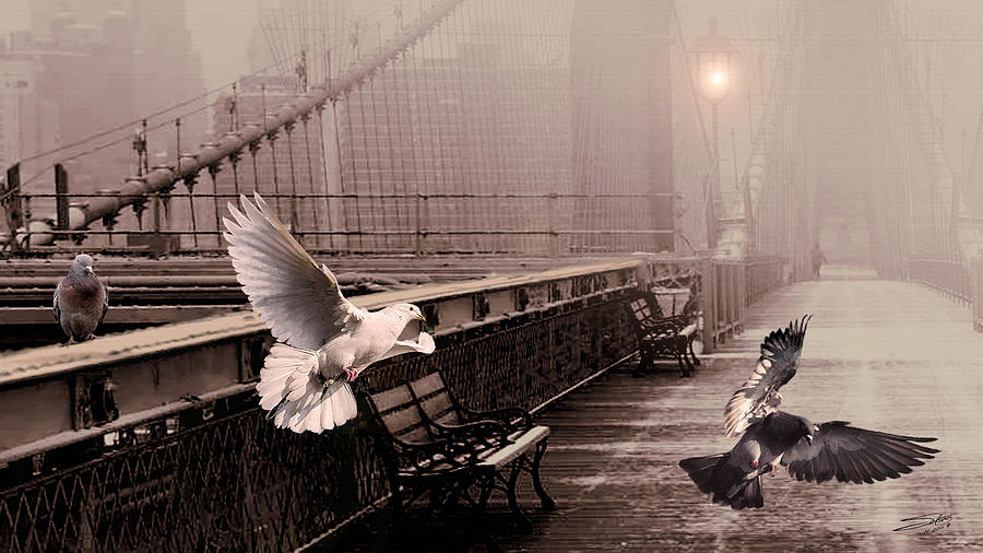 Pigeons on the Brooklyn Bridge Digital Art by M Spadecaller