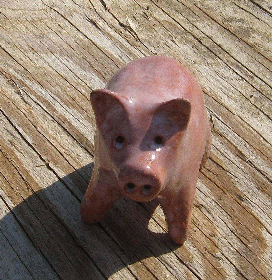 Pig Ceramic Art - Piggie by Gina Salvati