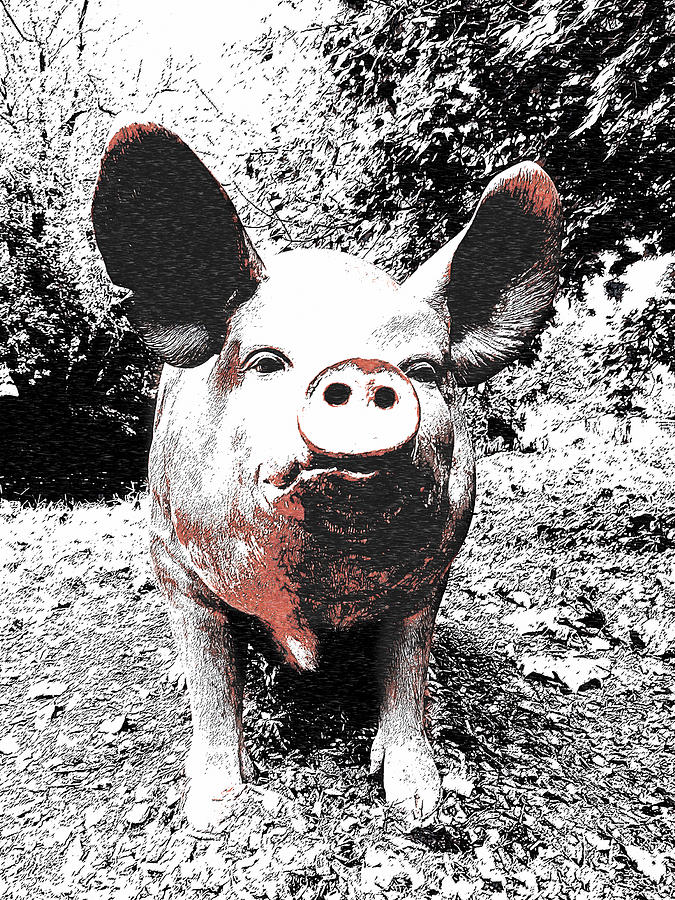 Piggie Photograph by Richard Reeve