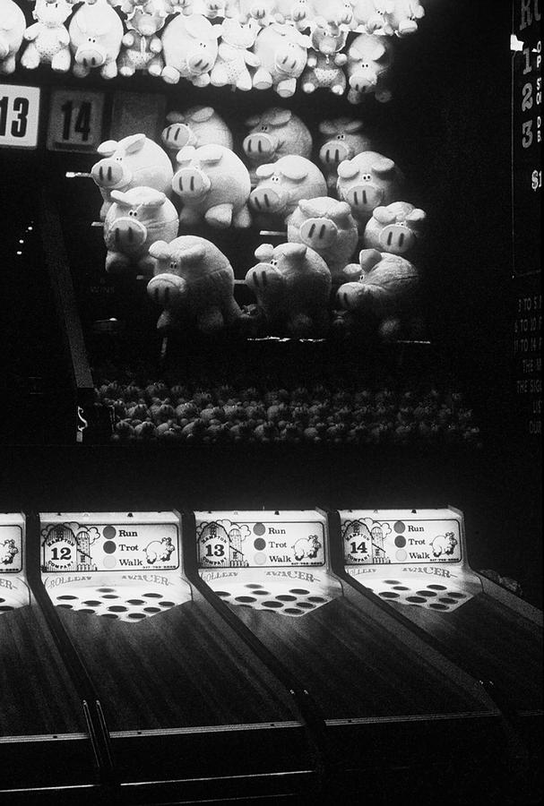 Piggies Photograph by Rodney Lee Williams