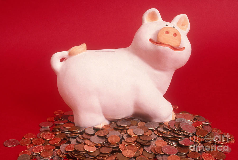 Piggy Bank On Coins Photograph by Catherine Ursillo