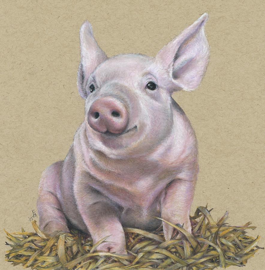 Piglet Drawing by Fran Megerdichian Fine Art America