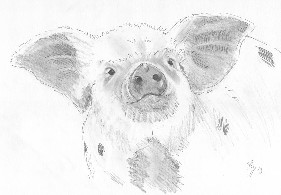 Piglet   Drawing by Mike Jory
