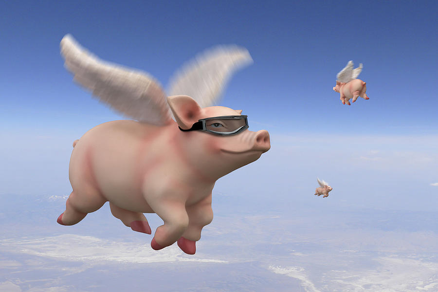 Pigs Fly 1 Photograph by Mike McGlothlen