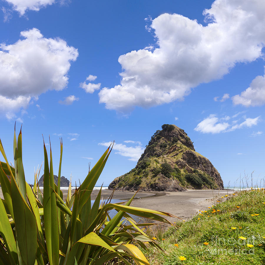 Piha Beach and Lion Rock New Zealand Photograph by Colin and Linda McKie