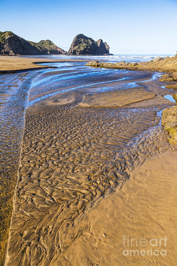 Piha Beach Textured Sand Auckland New Zealand Photograph by Colin and Linda McKie