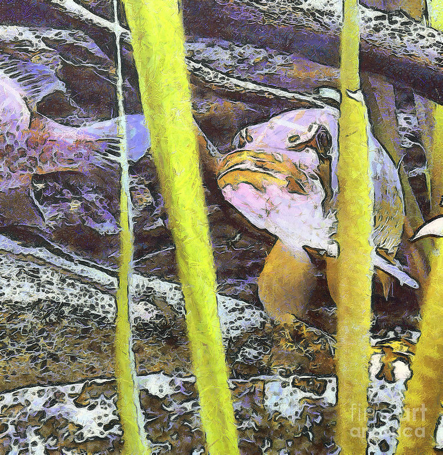 Pike on the plants Painting by Odon Czintos
