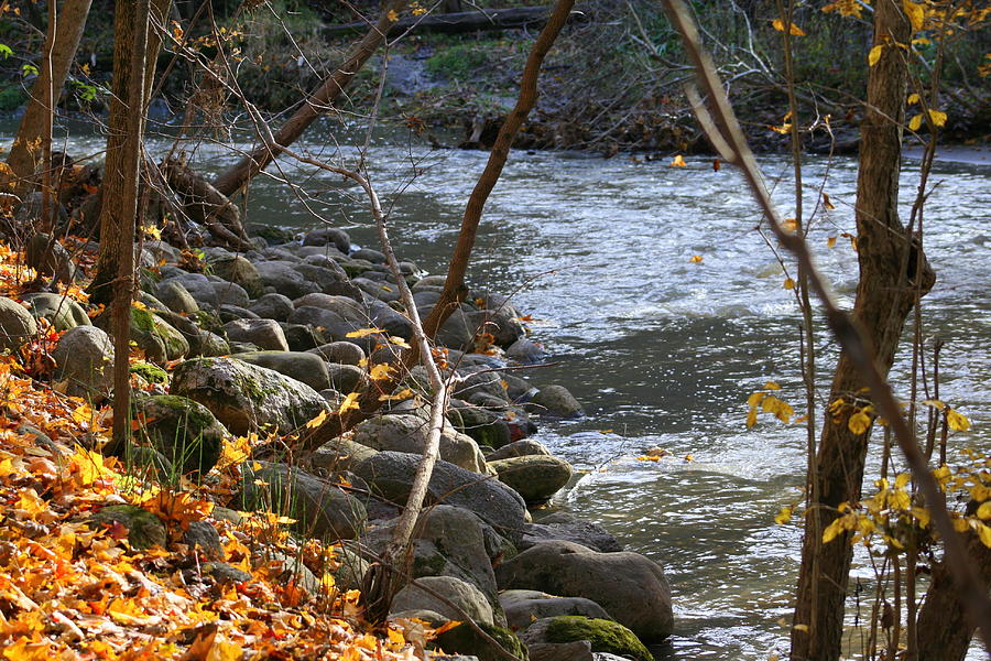 Pikes Creek In Autumn Photograph by Kay Novy