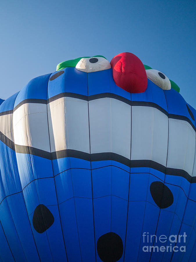 Up Movie Photograph - PIKO the Hot Air Balloon by Edward Fielding