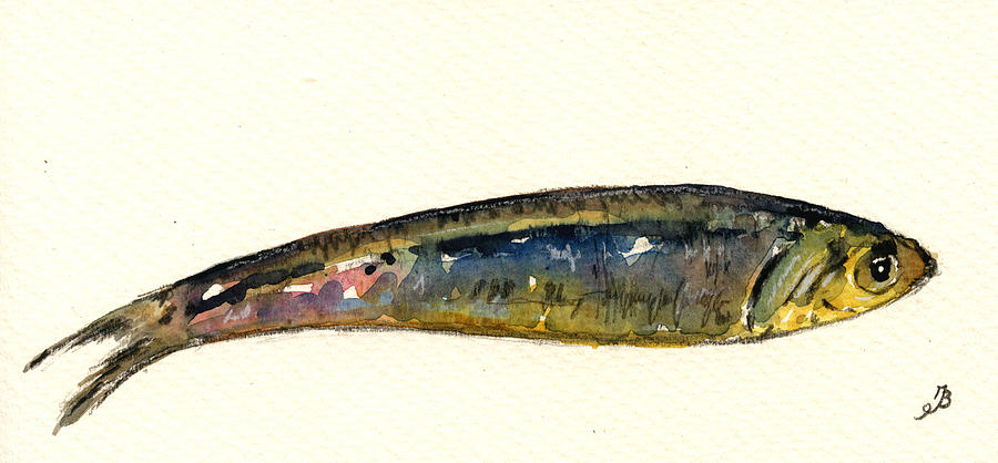 Fish Painting - Pilchard by Juan  Bosco