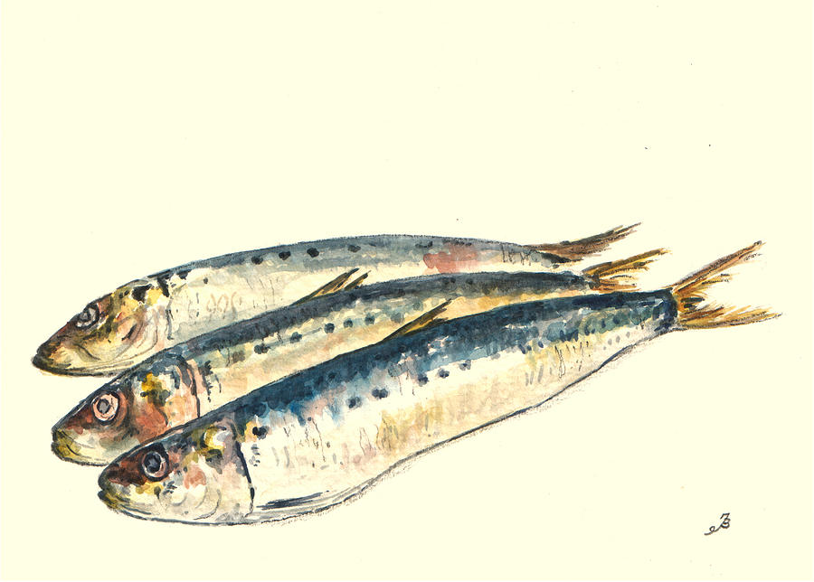Fish Painting - Pilchards by Juan  Bosco