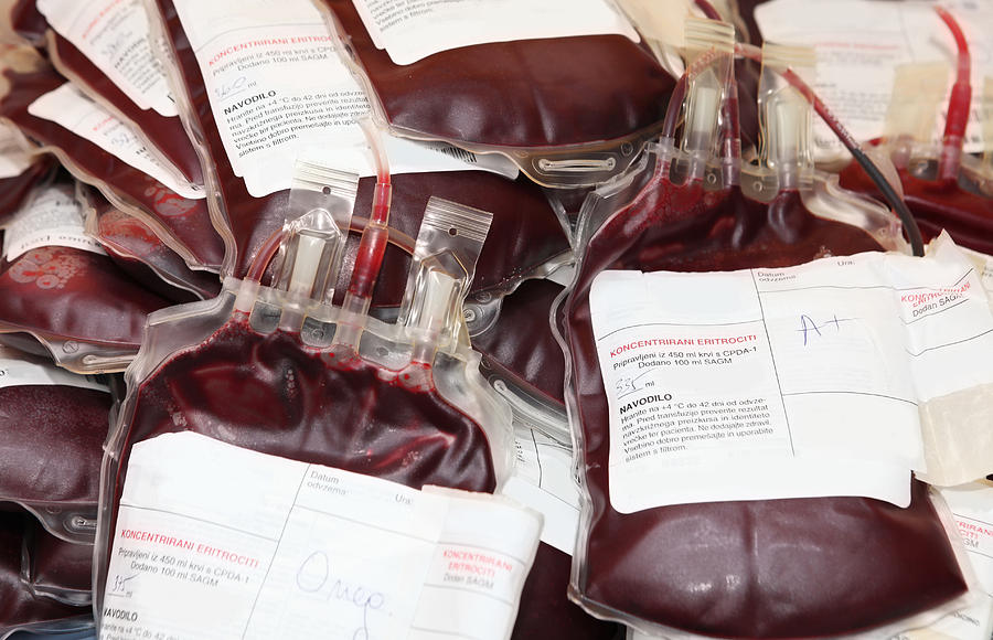 Pile of blood bags  with red blood cells Photograph by Choja