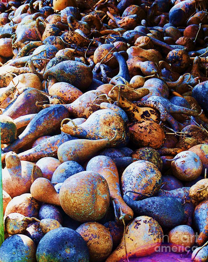 Pile Of Gourds Photograph