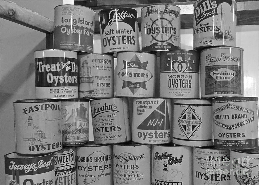 Pile of Oyster Cans Photograph by Nancy Patterson