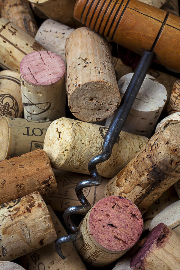 Wine Photograph - Pile of wine corks with corkscrew by Garry Gay