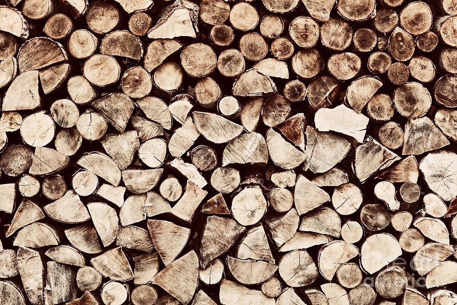 Nature Photograph - Pile of wood logs background by Michal Bednarek