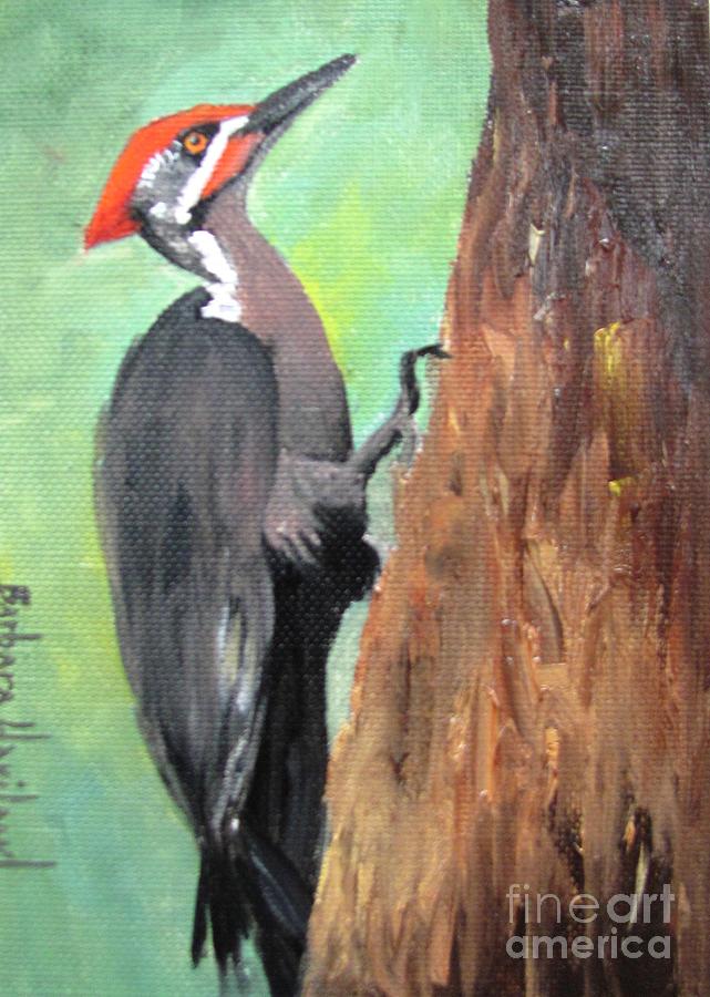 Pileated Woodpecker Painting by Barbara Haviland