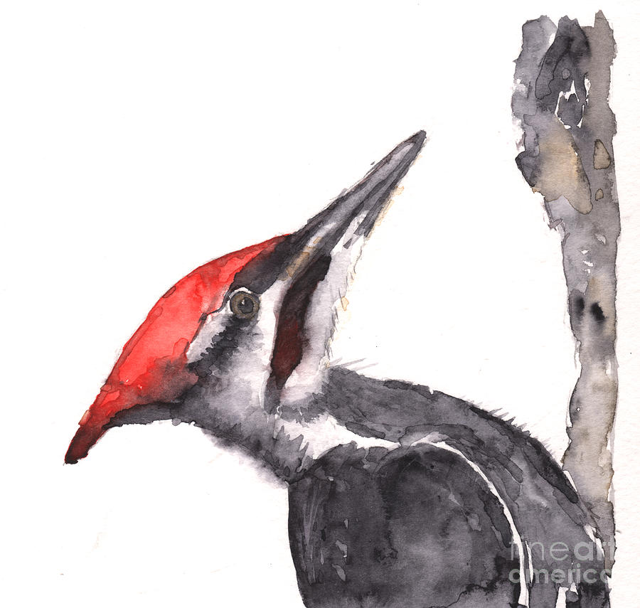 Pileated Woodpecker Painting by Claudia Hafner