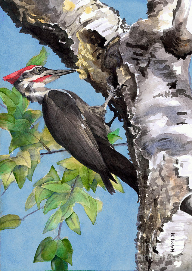 Pileated Woodpecker Painting by Steve Hamlin