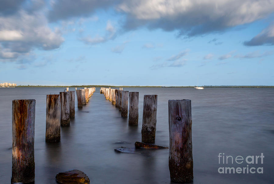 Pilings Photograph by Charles Aitken