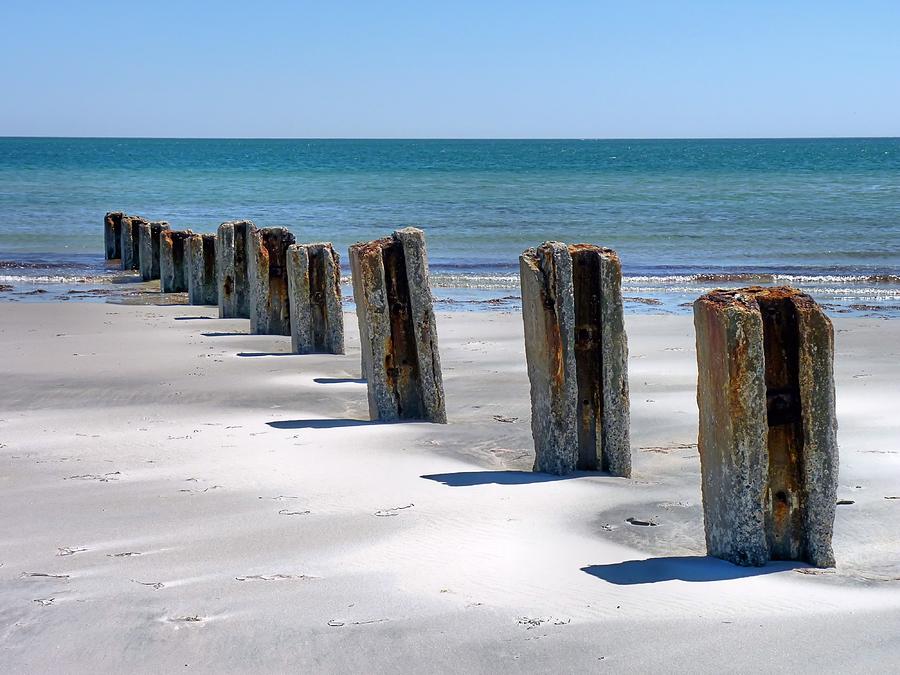 Pilings Photograph by Janice Drew