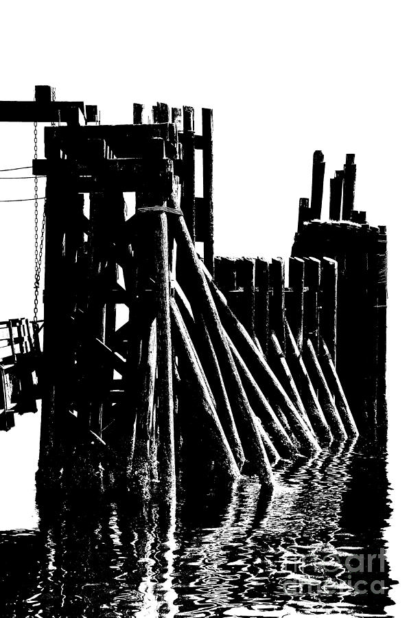 Pilings Photograph by Newel Hunter