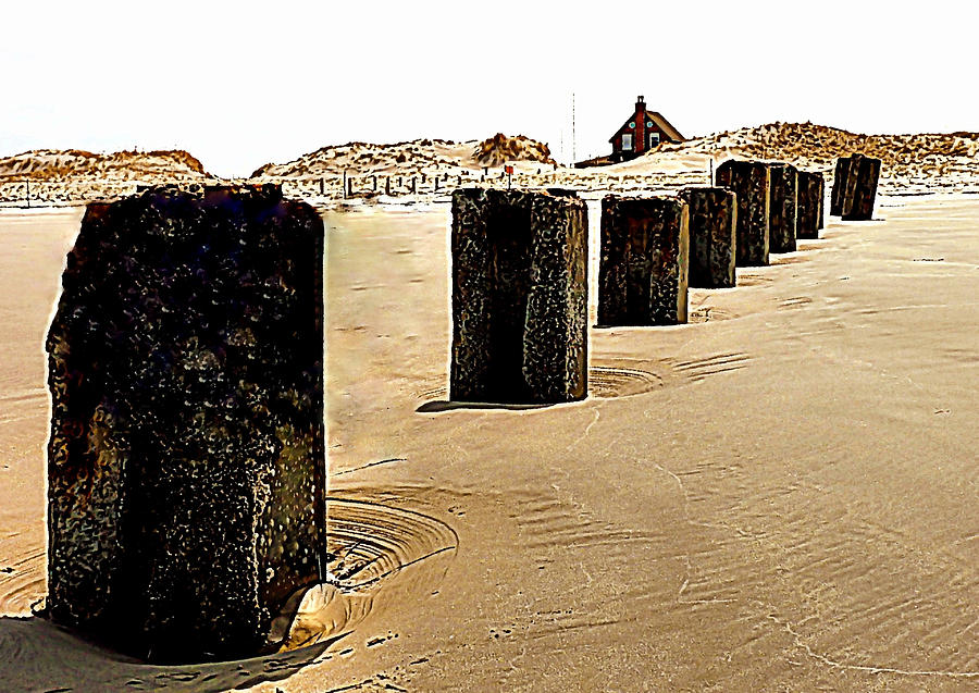 Pilings on Plymouth Beach Photograph by Janice Drew