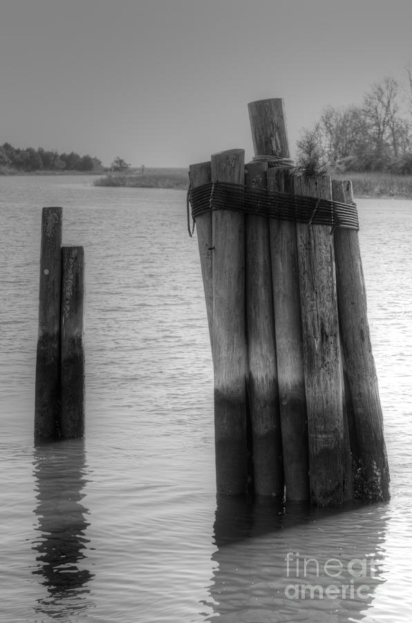 Pilings on the Creek Photograph by Dale Powell