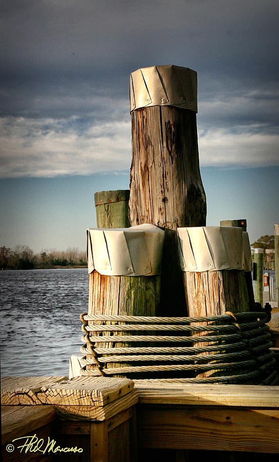 Pilings Photograph by Phil Mancuso