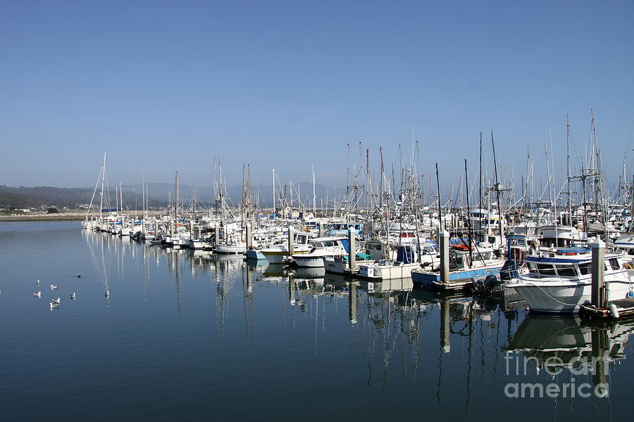 Pillar Point Harbor Photograph by Christiane Schulze Art And Photography
